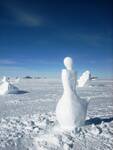 Snow Sculpture.jpg